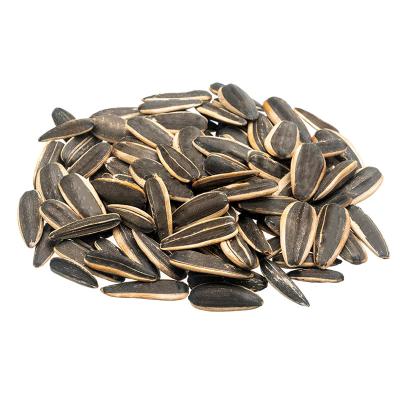 China Inner Mongolia Dried Black Sunflower Seeds for Oil for sale