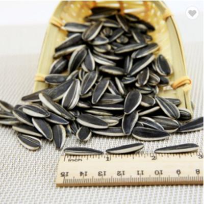 China Dry Packed Roasted Selected Sunflower Seeds for sale