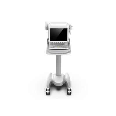 China Other China Professional Manufacture Optional Convenient Color Ultrasound for sale