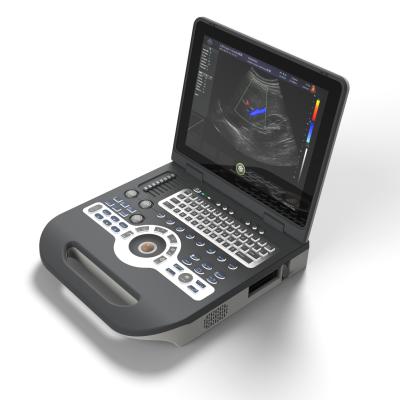 China Other Notebook Color China High Quality Full Digital Ultrasound Scanner for sale