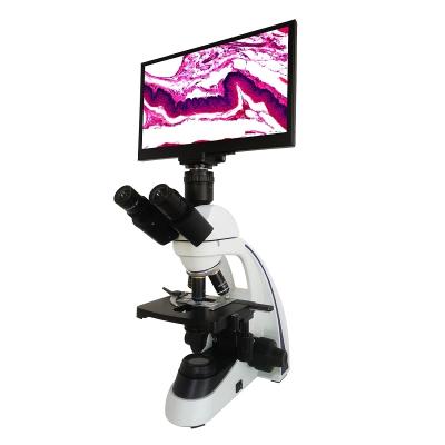 China Wholesale high quality professional manufacturers BD-SW1001 biological microscope for sale