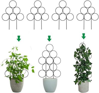 China Small Modern Trellis For Garden Trellis For Indoor Outdoor Climbing Plants Decorate Plant Tree Metal Trellis Support Potted Vines for sale