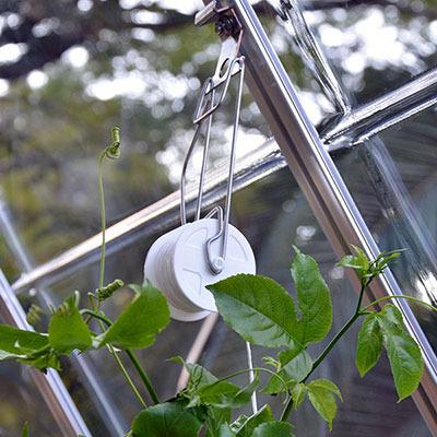 China Plastic Greenhouse Garden Plant Thru Type Tomato Roll Up Hook for sale