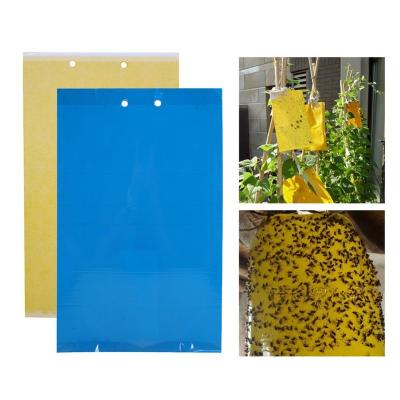 China Viable Large Area Flying Insect Pest Glue Yellow Sticky Traps for sale