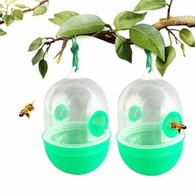 China Amazon Sustainable Hot Item Wasp Trap With Plastic Material Plastic Wasp Trap for sale