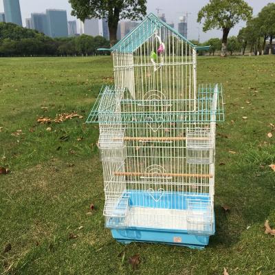 China Viable Collapsible Steel Wire Mesh Square Top Breeding Parrot Bird Cage for sale