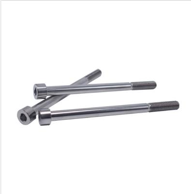 China Professional Cheese Factory Directly Supply Gr1 Titanium Alloy Bone Screw Bolts for sale