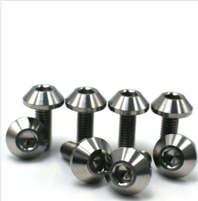 China Truss Sell Good Price Ta2 Gr5 High Quality Titanium Alloy Screws Titanium Bolts for sale