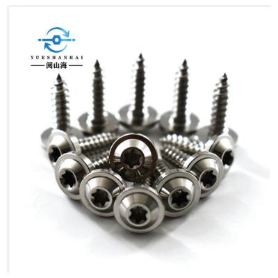 China Hot Sale China Manufacture Quality Gr2 M5 Titanium Alloy Screw Bolts Disc for sale