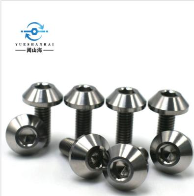 China Cheap And High Quality Titanium Alloy Ta1 Truss Screws Titanium Bolts for sale