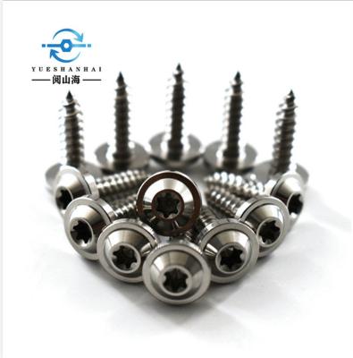 China Disc China Supplier Customized Gr5 Titanium Alloy Pan Head Self Tapping Titanium Screw for sale