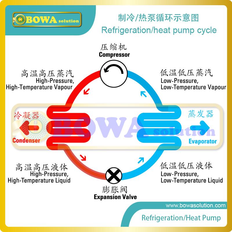 Verified China supplier - Shanghai Bowa International Trading Co., Ltd.