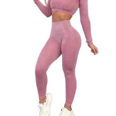 China Custom Made Private Label Women Antibacterial Seamless Fitness Leggings Seamless Leggings for sale