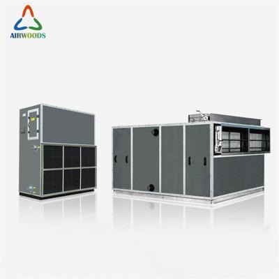 China Printing Factory/Cinema/Dinner marekt/Restaurant/Offfice Air/Kindergarten Handling Unit AHU for sale