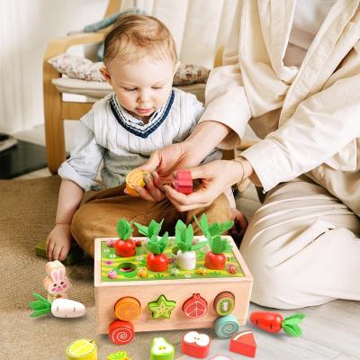 China Multifunctional Eco-friendly Material/Waterproof/Rotproof/Microbial Resistant Kids Puzzle Fruits and Vegetables Shape Wooden Toys for Improving Children's Cognitive Ability for sale