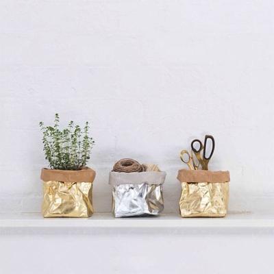 China Wholesale Biodegradable Durable Reusable Indoor/Outdoor Washable Storage Bag Kraft Paper Bag For Plants/Flower for sale