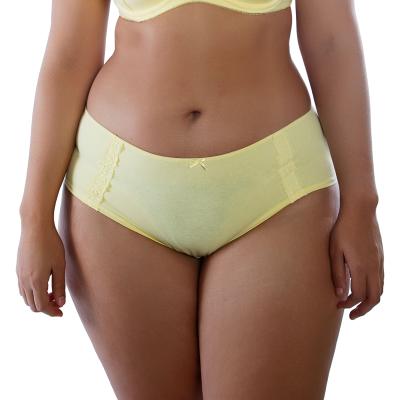 China Hippie Dot Print Bow Detail Solid Underwear Hippie Women Plus Size Breathable Panties Cotton Plus Size Panties for sale