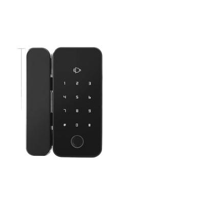 China High Quality Fingerprint Biometric Glass Door Door Security Smart Office Home Factory Price Smart Office Lock for sale