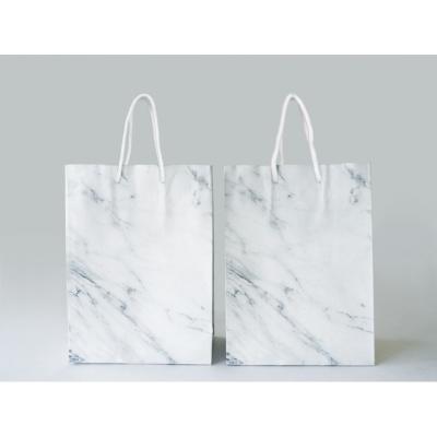 China Eco Friendly / Recyclable Twist Handle Paper Bags For Supplies for sale