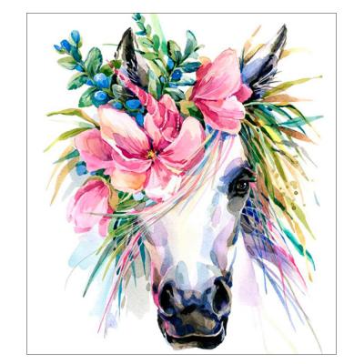 China International Organization for Standardization white horse diy painting by numbers 40*50hand-painted living room decorative animal painting for sale