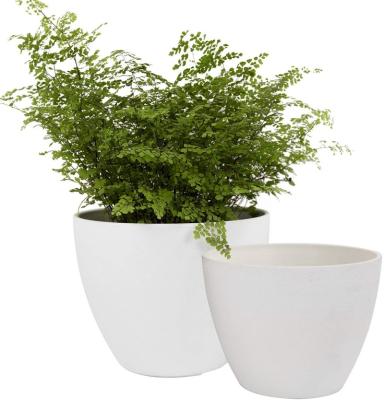 China P02 BEE White Flower Pots Outdoor Garden Planters Indoor Plant Bump-Resistant Pots With Drainage Holes for sale