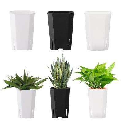 China Vientiane Modern Octagonal Square Potted Planters Succulents Flowerpot Plants Pot Side-Opening Plastics Transparent BEES Gardening Tool for sale