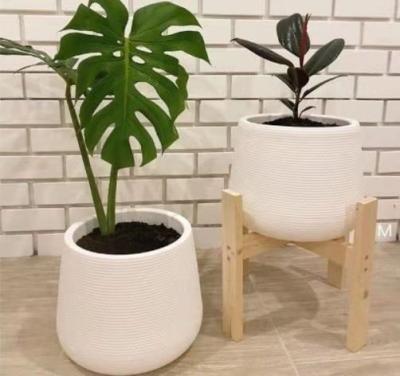 China Eco-friendly Outdoor Garden Pot Bees Flower Pots Planter Plastic Flower Pots With Drainage Hole And Tray for sale