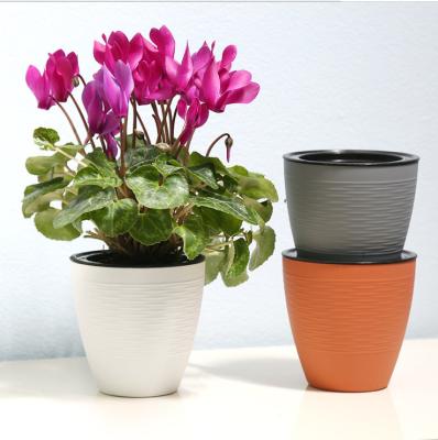 China Eco - Friendly Plastic Self - Absorbing Flower Pot for sale