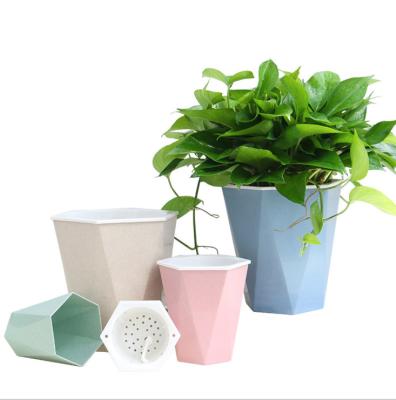 China Flowerpot U Color Perfume Wheat Fiber Plant POTS Self Absorbent Lazy Cotton Rope for sale