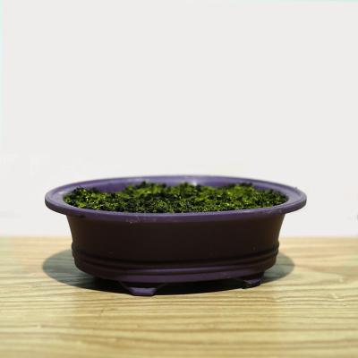 China BEE Popular Unique Oval Purple Sand Flower Plastic Potted Plants Bump-Resistant, Gardening Pots For Plants for sale