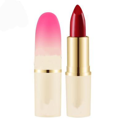 China New Waterproof Matte Lipstick Professional Makeup Lipstick Maker Gradient OEM Organic Lipstick Wholesale for sale