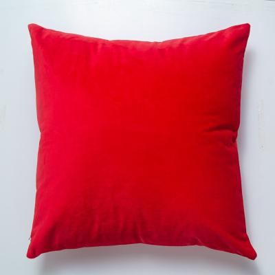 China 2020 45*45 PORTABLE Custom Throw Cushion , Morden Velvet Soft Throw Pillow for sale