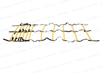 중국 교련 운동 간격 훈련을 위한 두 배 줄 축구 속도 사다리 판매용