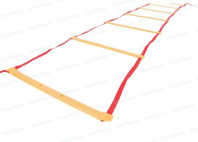 China Footwork Training Fitness Agility Ladder / Athletic Ladders Equipment Extra Long for sale