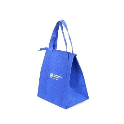 China Eco-friendly 2020 new high quality double Handles rprt shopping bags for sale