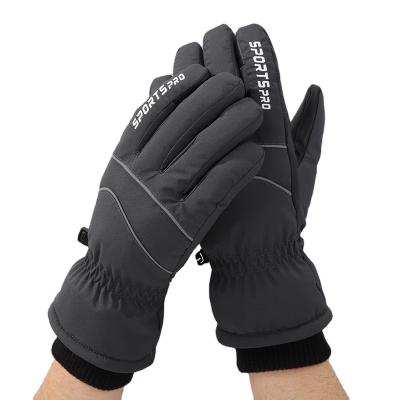 China Women Mountaineering Ski Gloves For Cold Winter Touch Screen Skiing Windproof Gloves for sale