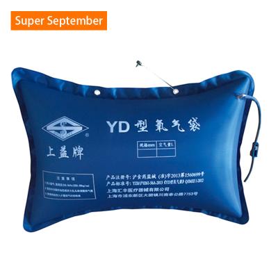 China Home and Hospital Nylon Medical Pillow Oxygen Reservoir Cylinder Bag for sale