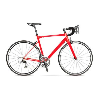 China High Quality 14speed Steel Aluminum Alloy Frame Disc Brake Road Bike for sale