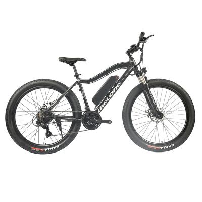 China Aluminum alloy 24 speed electric mountain bike/aluminum frame300w 36V 10ah electric bicycle,26