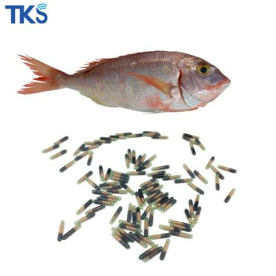 China Bio-Glass FDX-B 134.2khz 1.25*7MM Bio-Glass RFID Fish Chip With Injection Syringe for sale