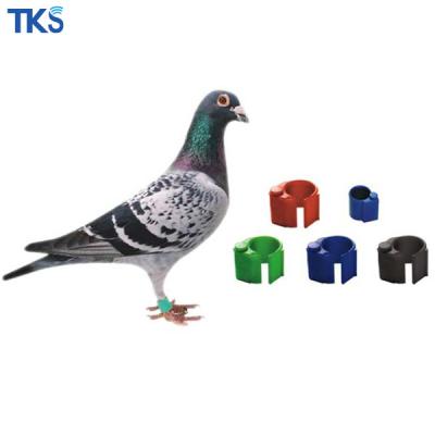 China ABS PE (eco-friendly) HiTag s256 chip pigeon ring for sale