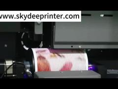 Cylinder UV Printer