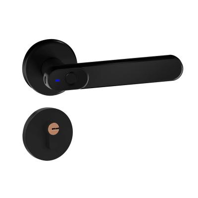 China Home 2021 New Hot Selling Security Handle Security Electric Lock Fingerprint Door Locks High Quality Smart Security Smart Locks for sale