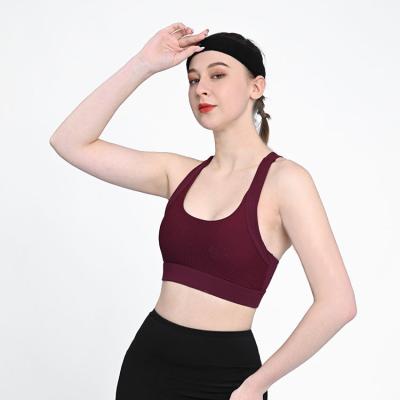 China Breathable Sexy Mesh Quick Dry Home Sport Yoga Fitness Bra for sale