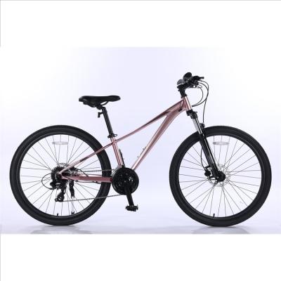 China Wholesale aluminum alloy factory aluminum alloy bicycle frame mountain bike for sale