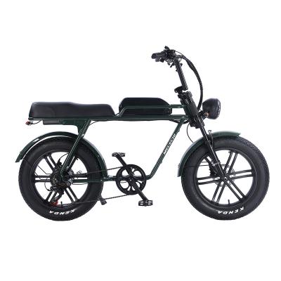 China EU USA Warehouse Steel Drop Shipping 750W 1000W Fat Tire Off Road Electric Bike Mountain For Adult Vintage Electric Bicycle for sale