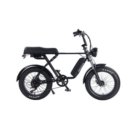 China Fat bike 750w/1000W 20ah48v steel fat tire electric bicycle 20