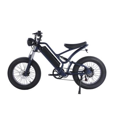 China 2022 new design CE 750w 48v steel rear hub motor 20 inch vintage e bike fat tire electric bike with rear seat for sale