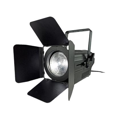 China Theme Park 100W 200W LED Spot Light Zoom Fresnel Spot Ellipsoid Theater Stage Lighting for sale