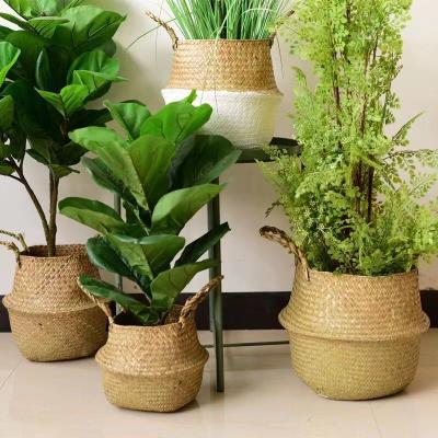 China Nordic Straw Woven Flowerpot Plant Basket Rattan Woven Plant Plankton Rattan Woven Storage Bamboo Basket Eco-friendly for sale